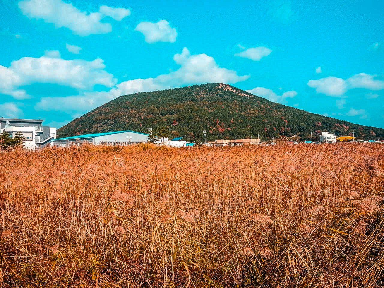 Jongdal li town image 3