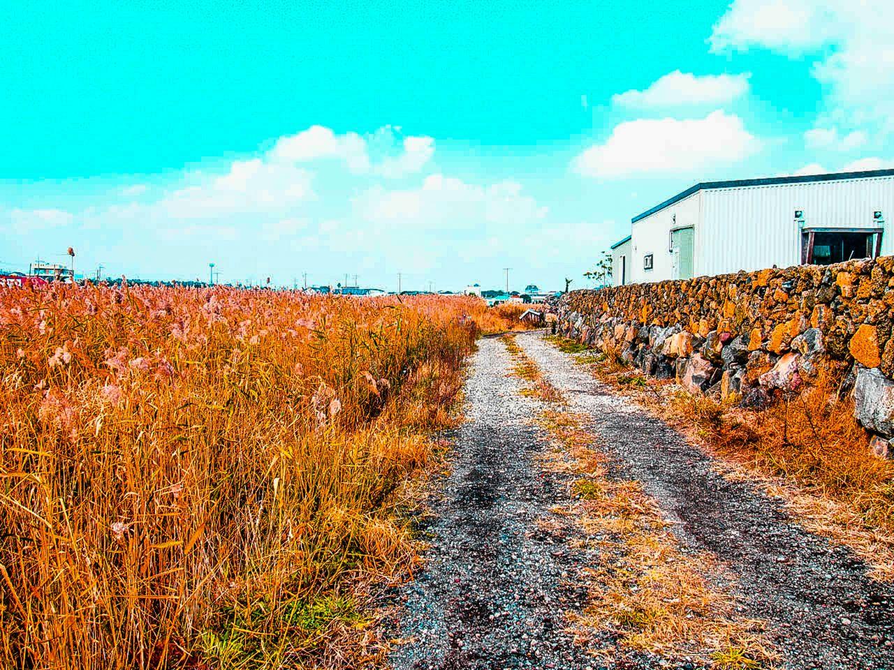 Jongdal li town image 1