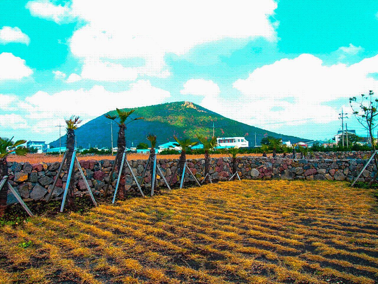 Jongdal li town image 4