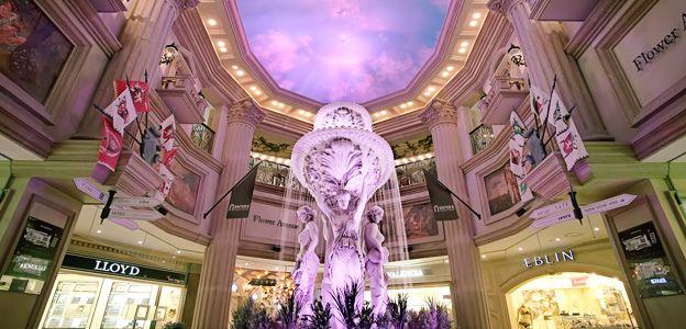 ENTER 6 WANGSIPLI image 1