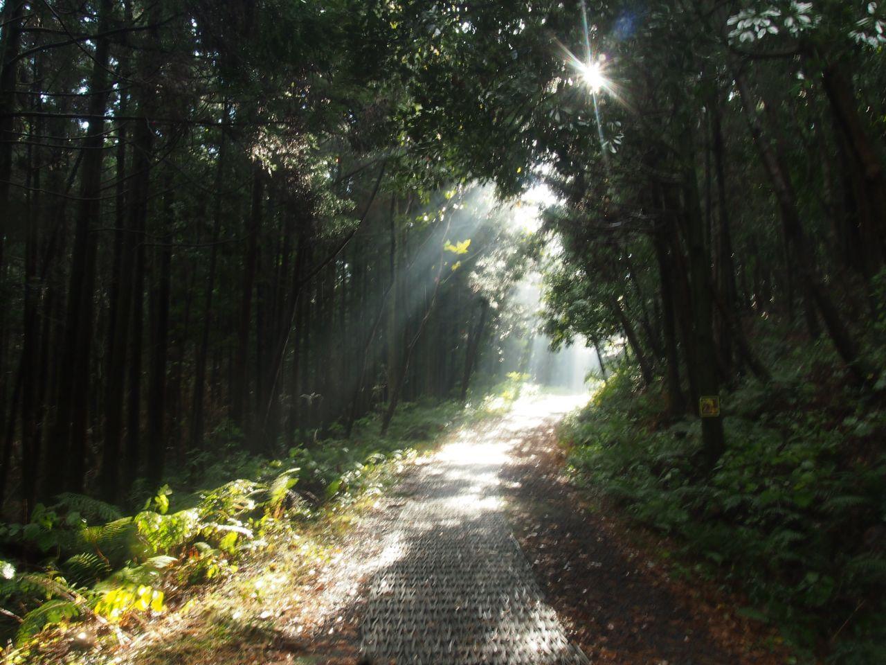 Songdangli travel town course image 2