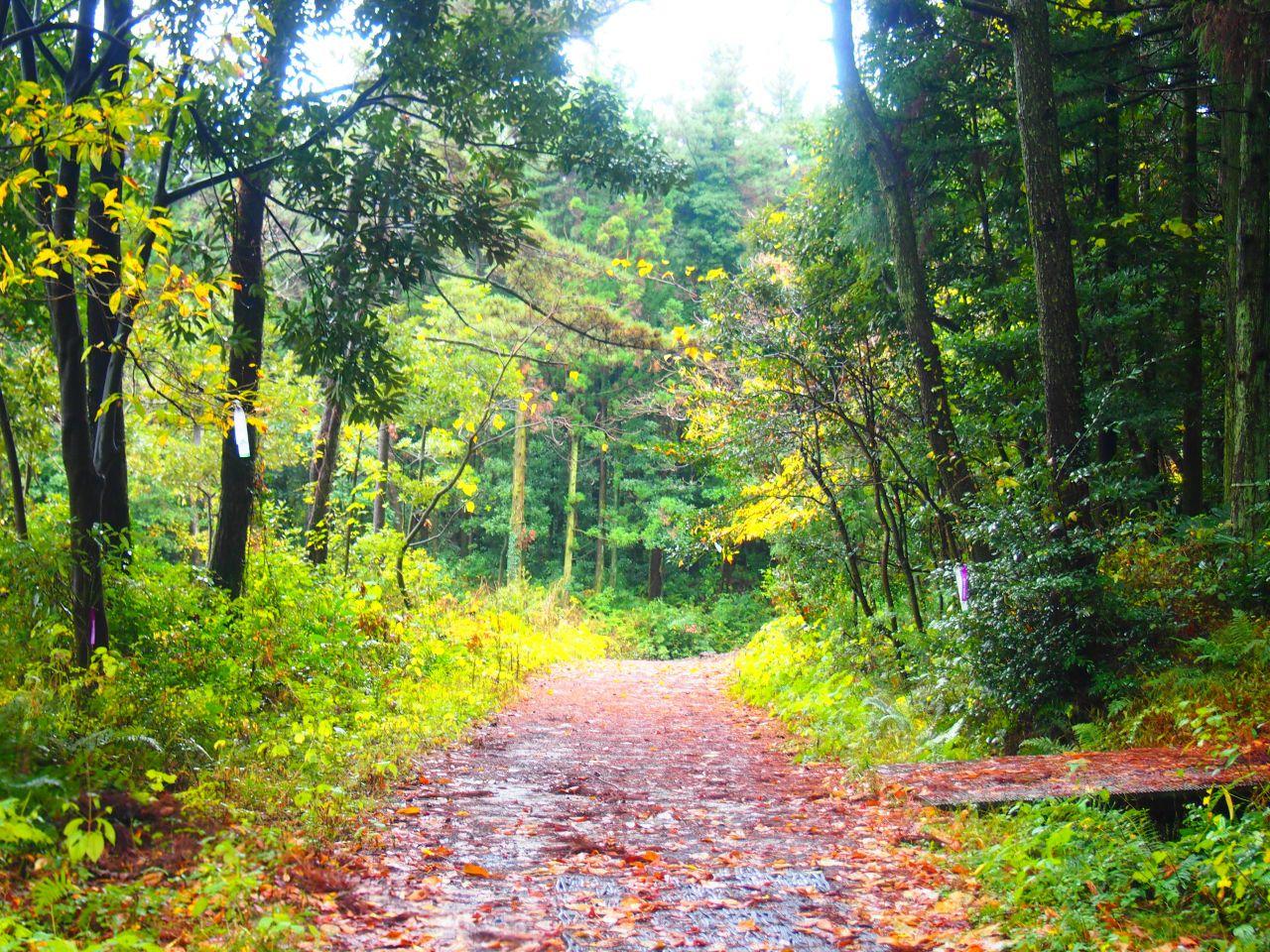 Songdangli travel town course image 3