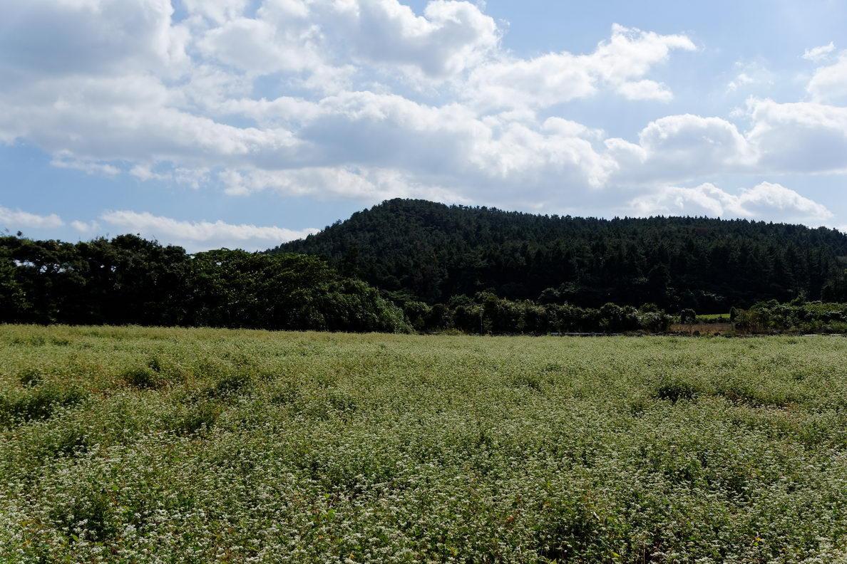 Songdangli travel town course image 6