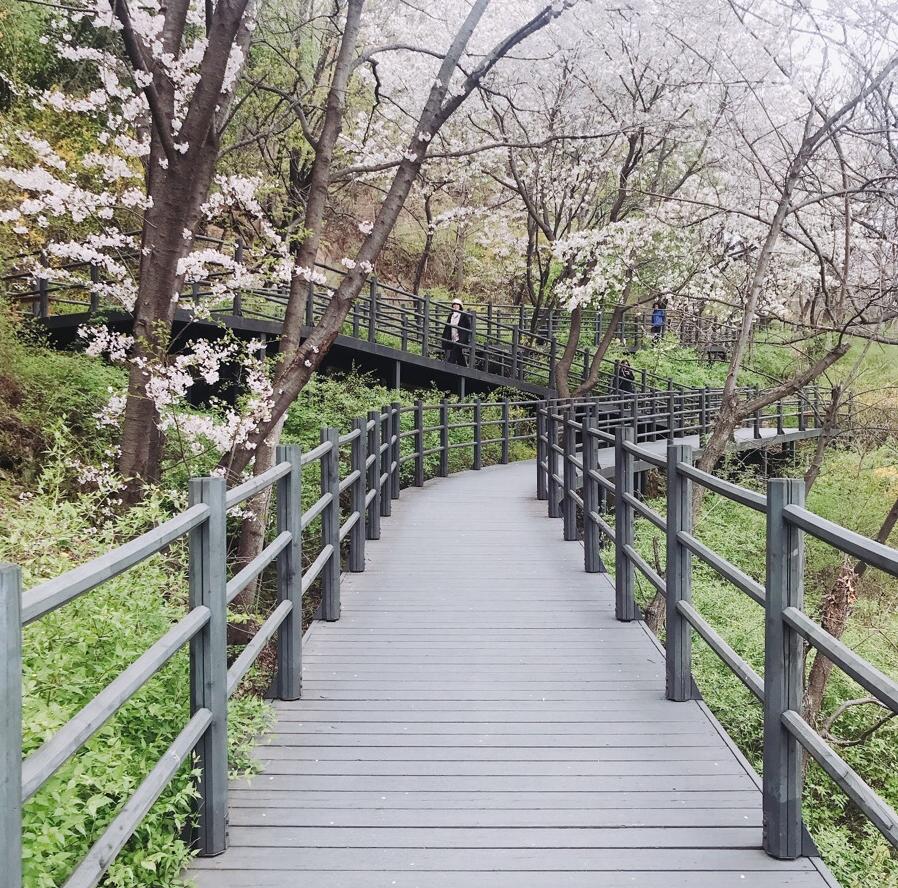 Seodaemun Ansanjarak street 1