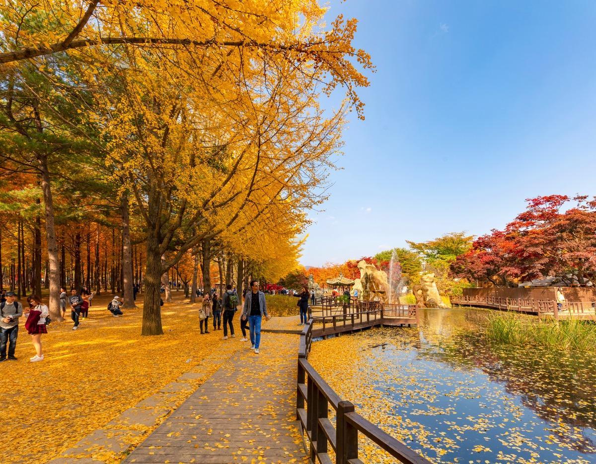 Nami Island new photo 5