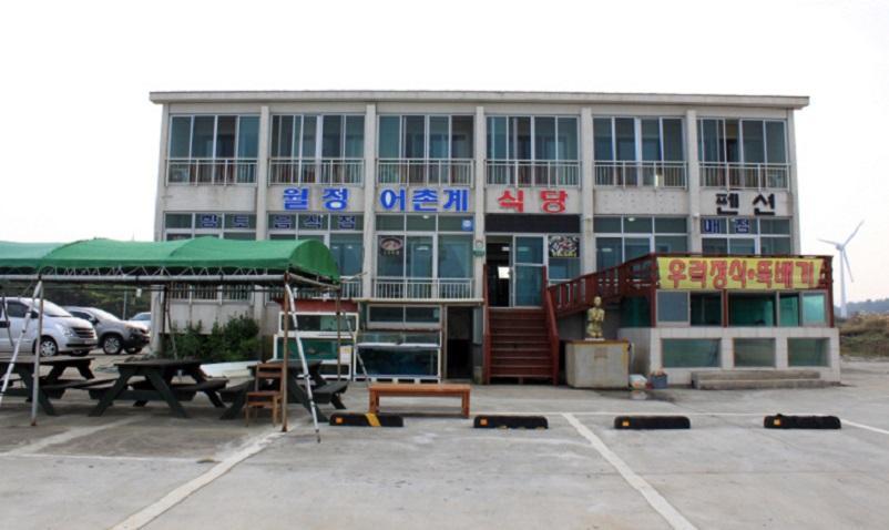 ханын ойн далайн хоол image 4