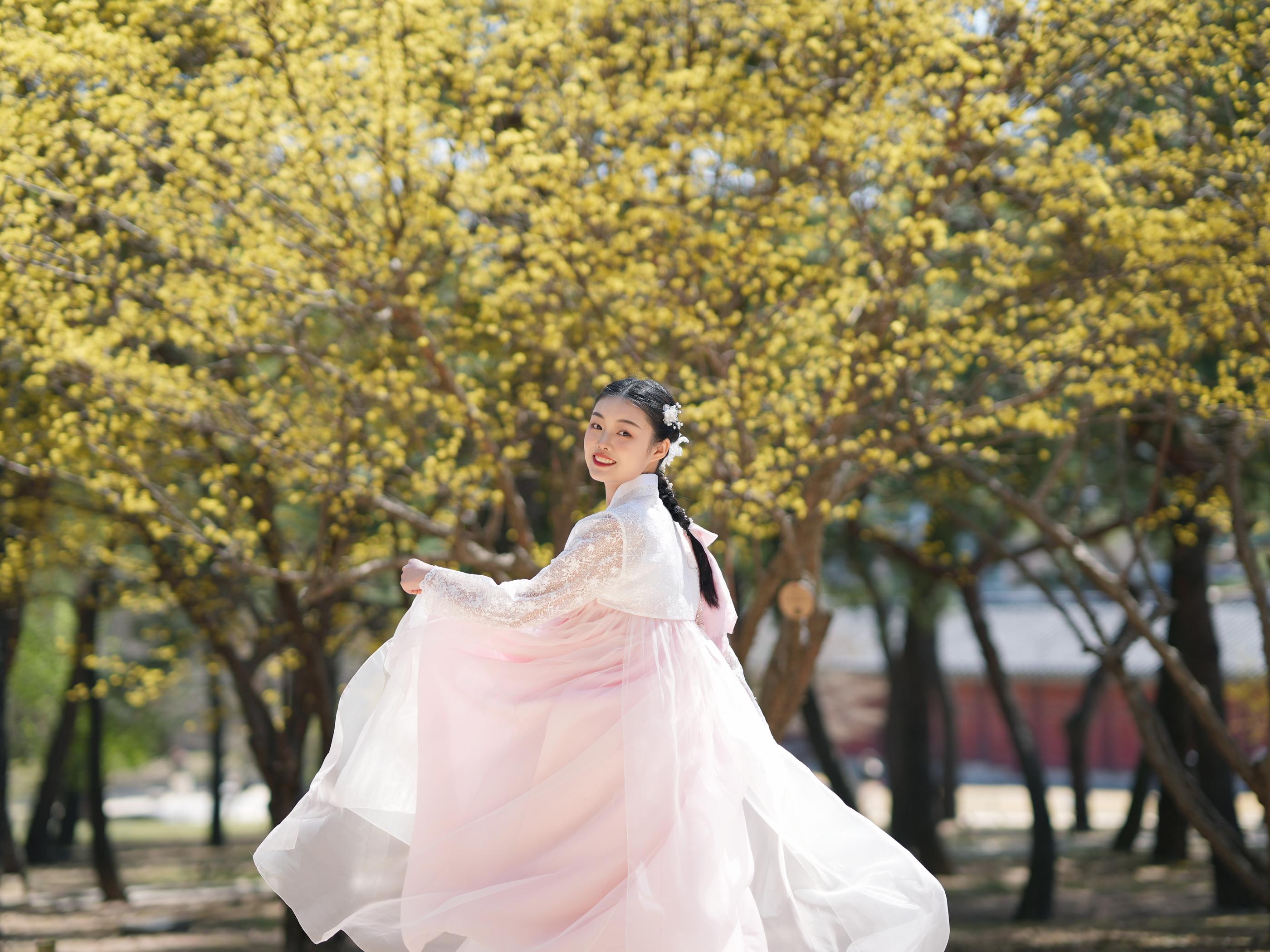 Palace Fox Hanbok