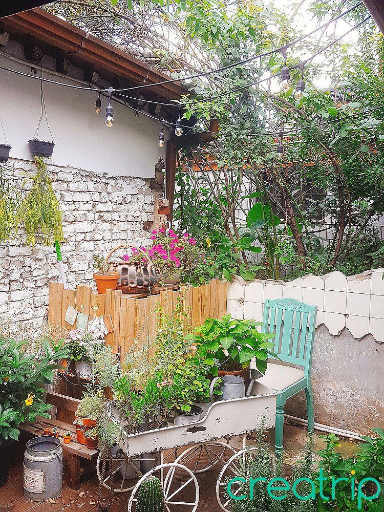 Франде image 2