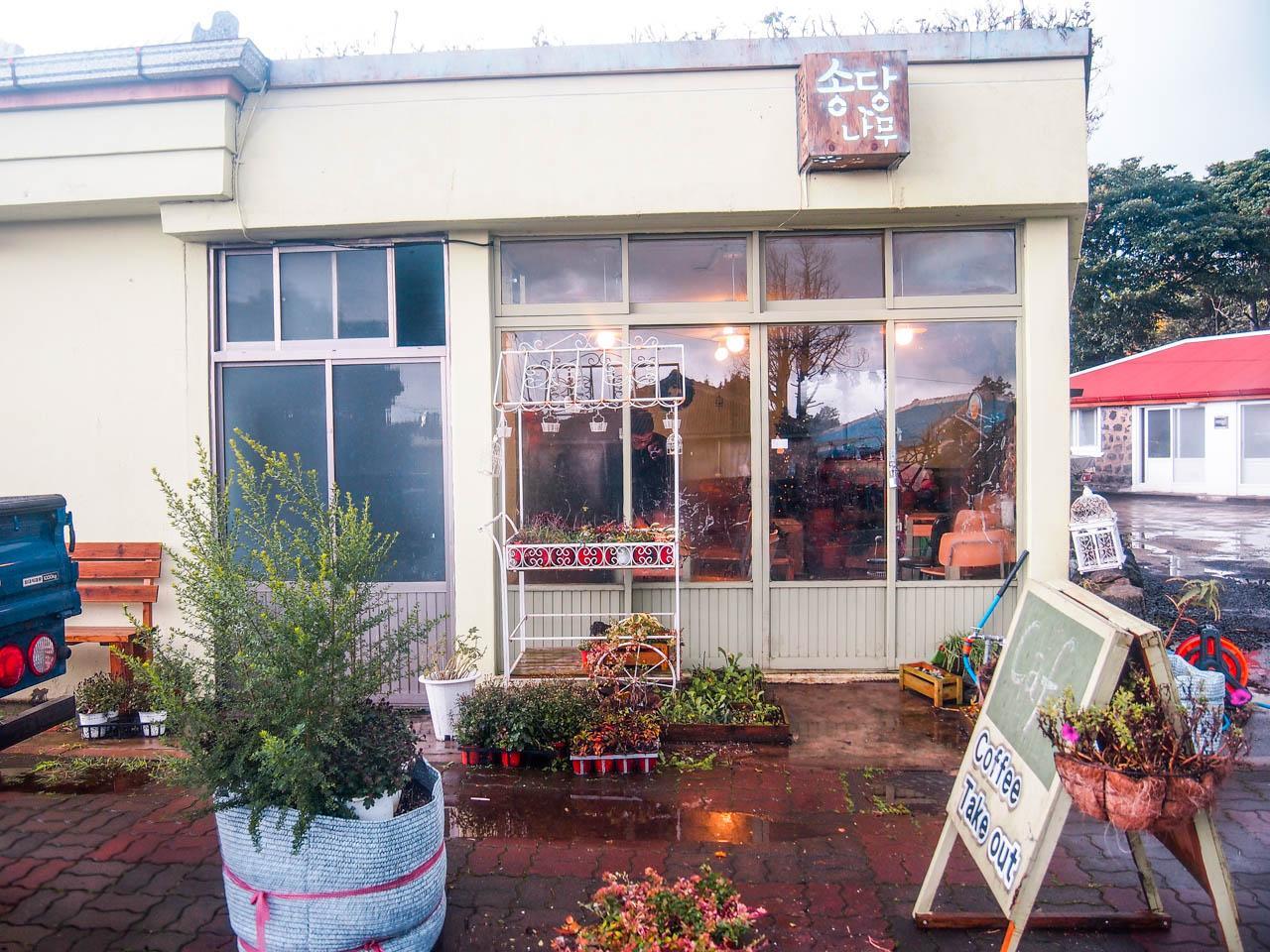 Songdang tree image 5