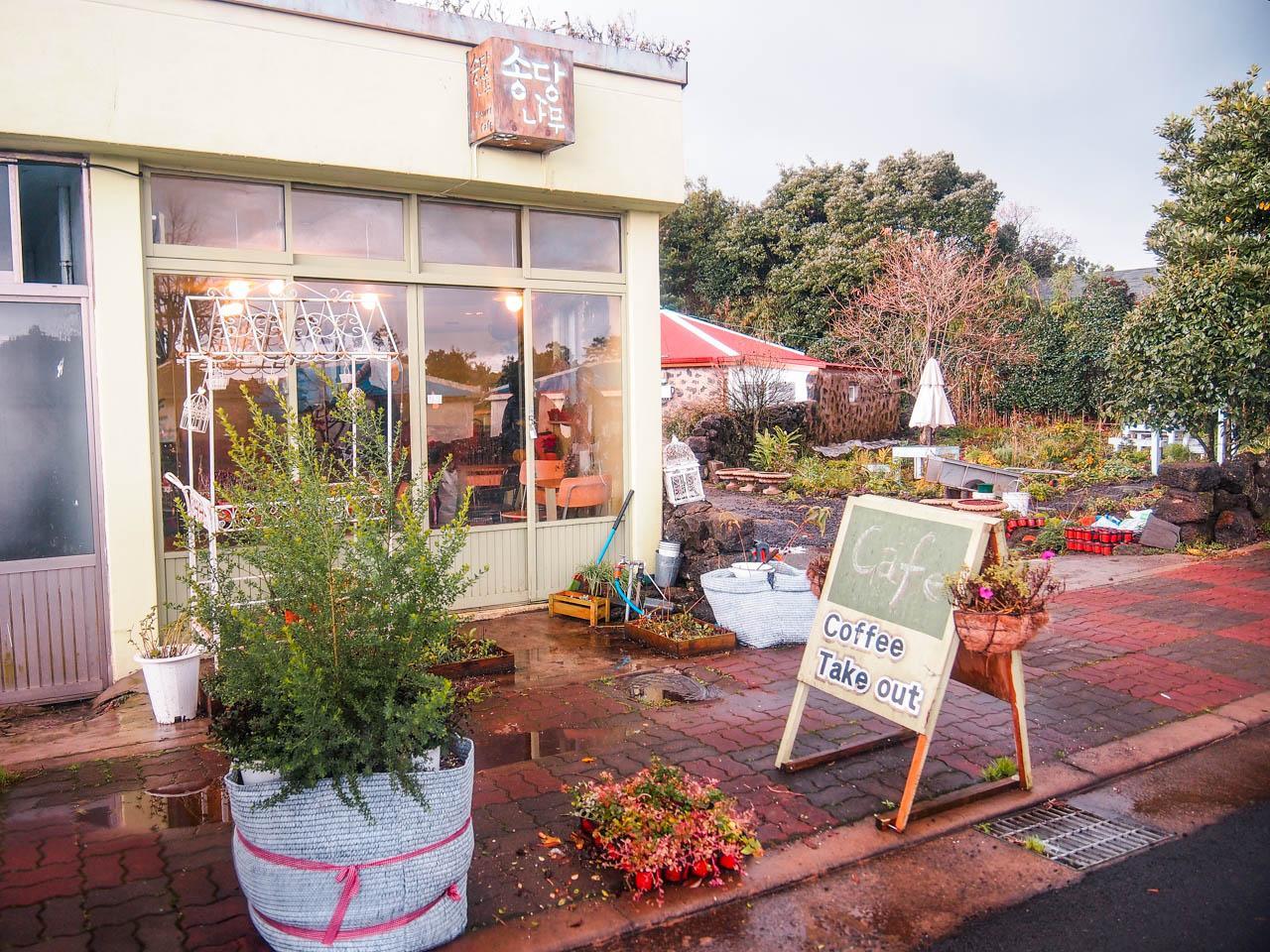 Songdang tree image 2