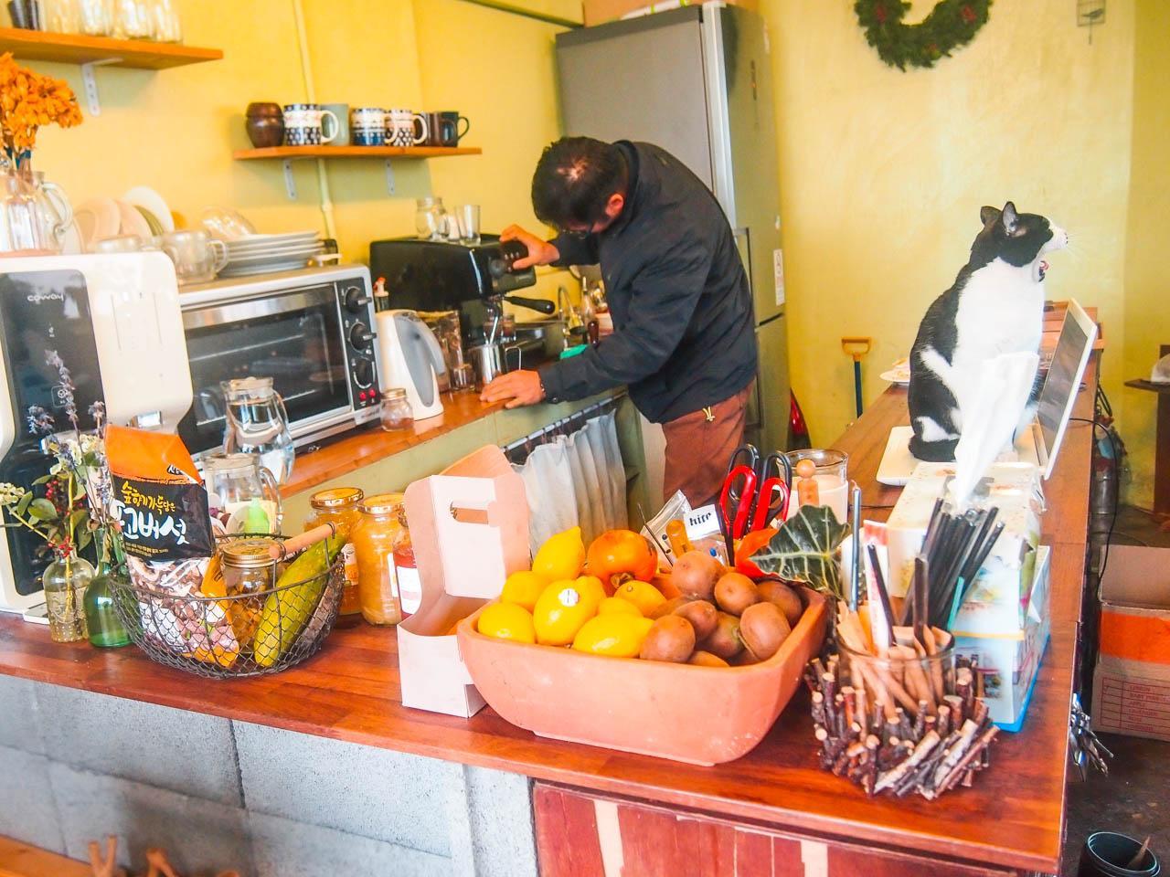 Songdang tree image 6