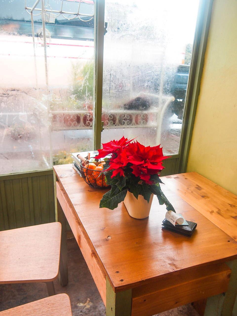 Songdang tree image 7