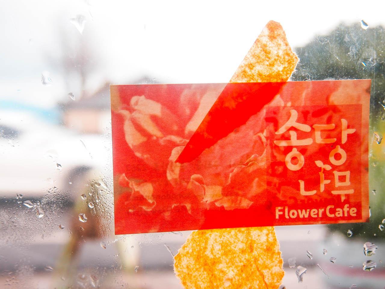 Songdang tree image 4