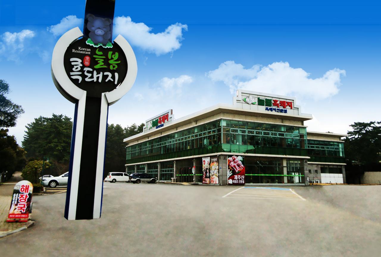 Babi hitam Noolbom image 7