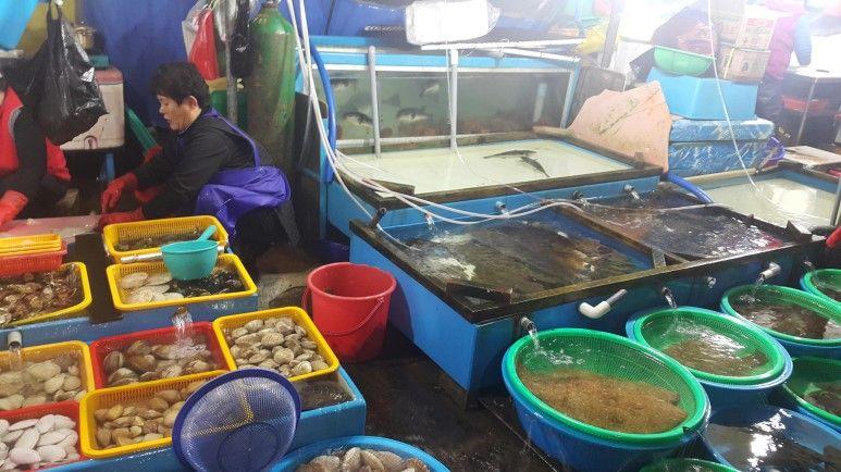 Joomoonjin Fischmarkt image 5