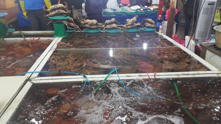 Joomoonjin Fischmarkt image 6