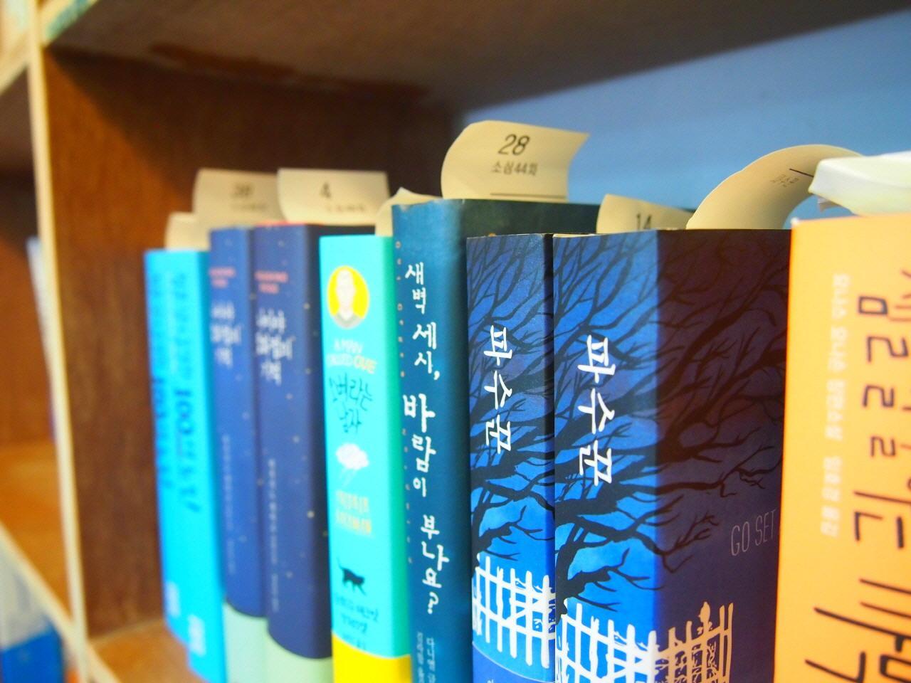 una timida libreria 3