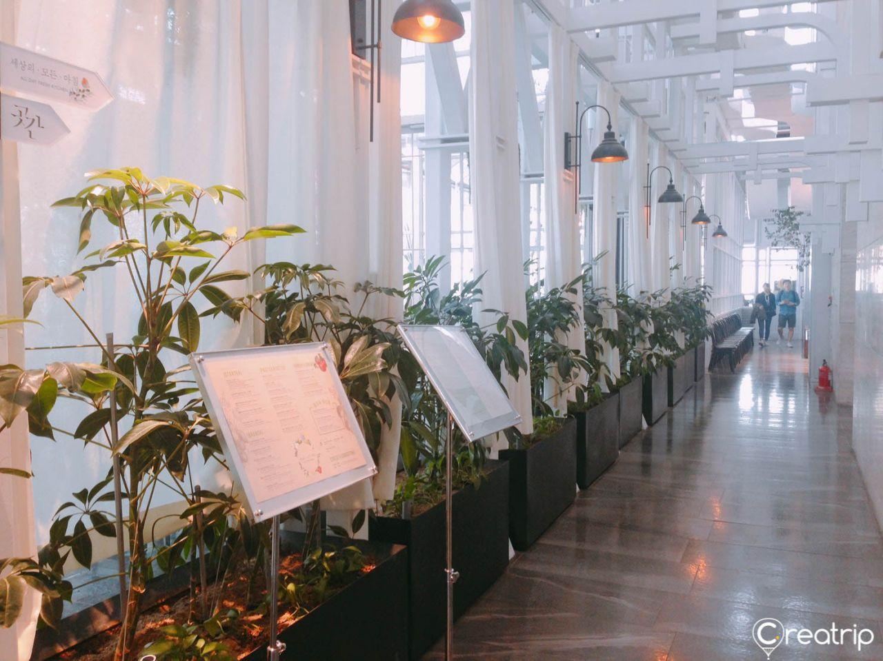 Il caffè del brunch di Skyfarm image 7