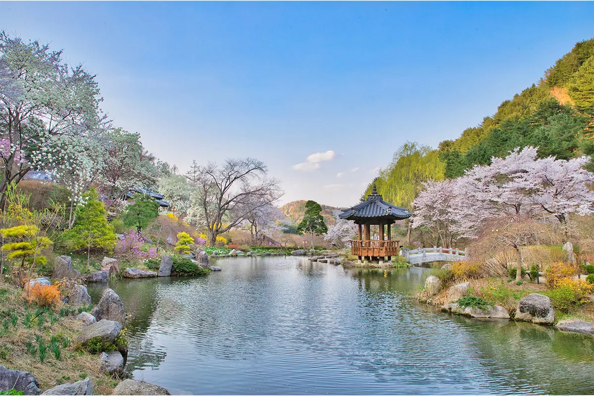 南怡島 草泥馬樂園 晨靜樹木園一日遊