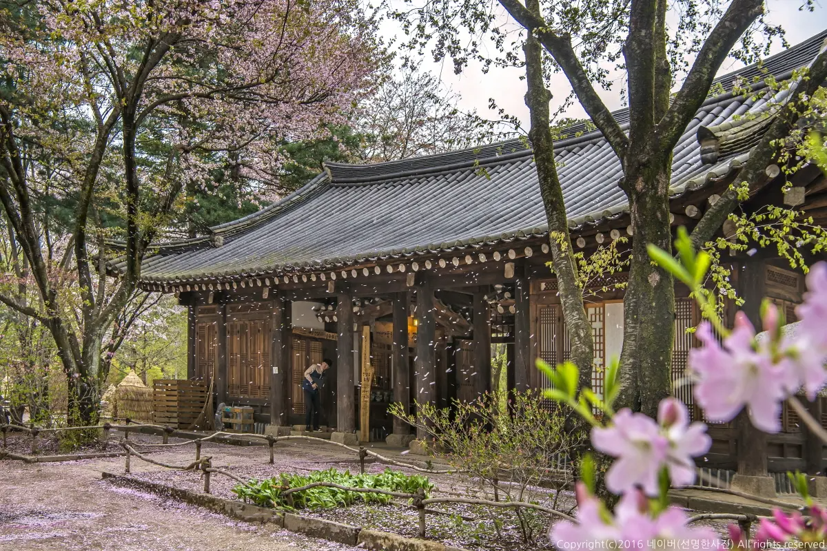 南怡島 韓國一日遊