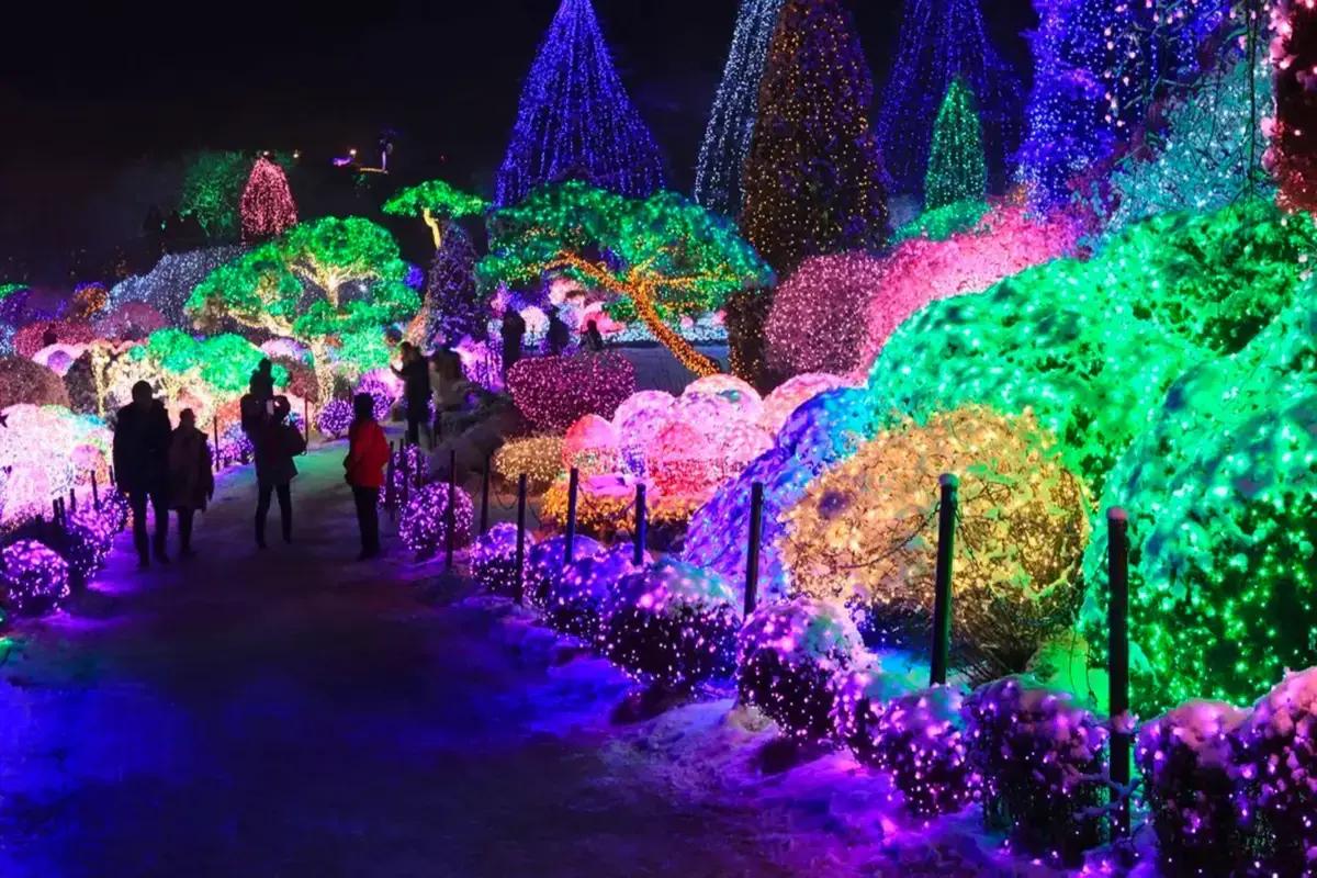 南怡島 レールバイク アチムゴヨ樹木園 韓国旅行 春川 江原道 加平