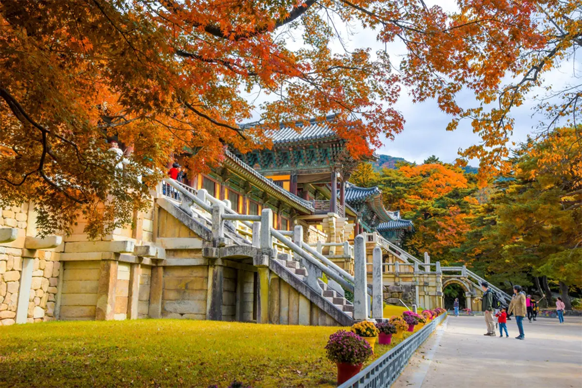 慶州 世界文化遺產 一日團 佛國寺