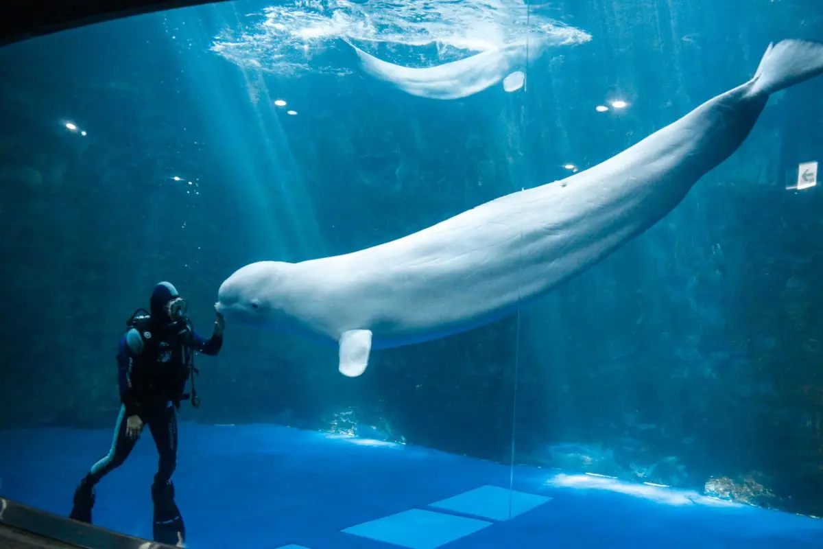 麗水海洋世界水族館