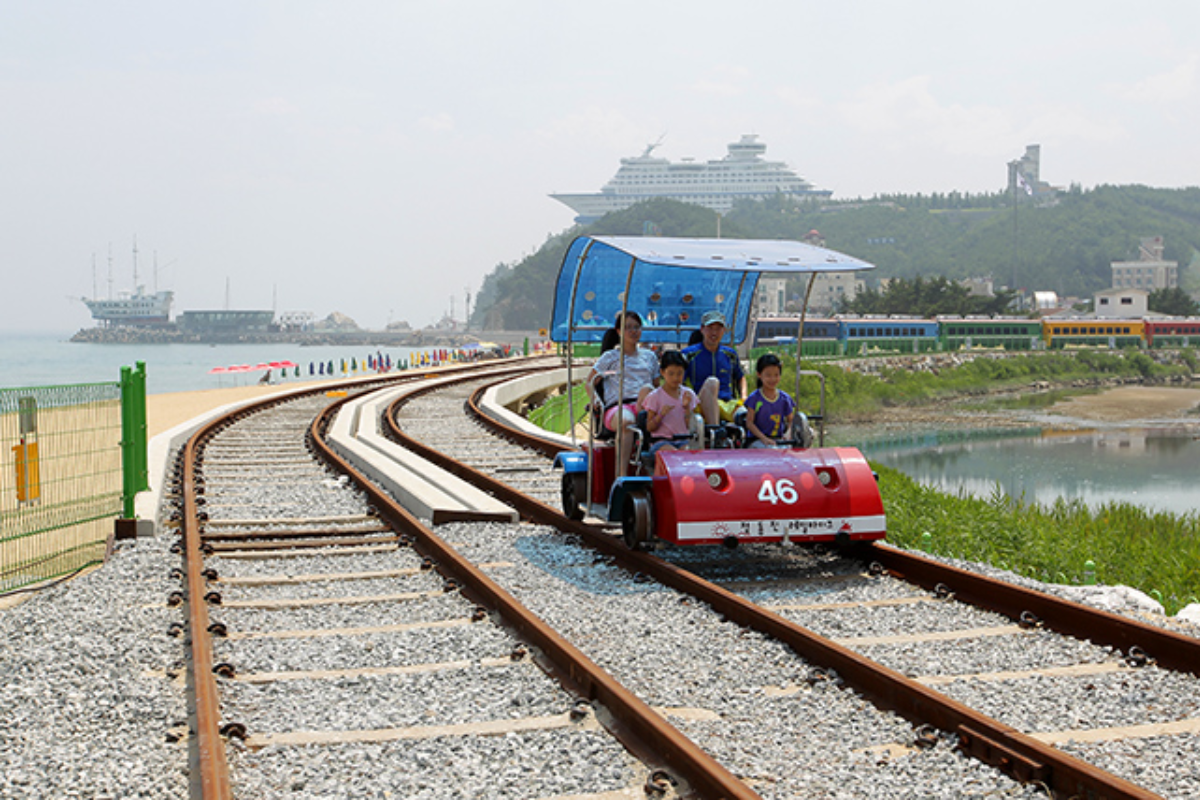 韓國旅行 江原道旅行 江陵旅行 江陵景點 江陵必去景點 江陵旅行團 江陵2日1夜行程 士多啤梨農場體驗 櫻花 韓國櫻花 正東津鐵路單車