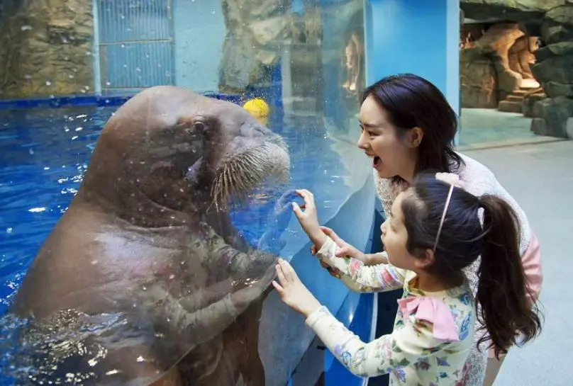 Aquarium near Seoul : Ilsan Aqua Planet