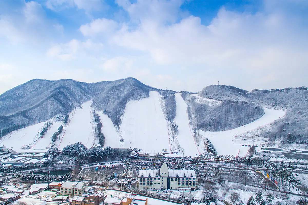 芝山森林渡假村滑雪一日遊