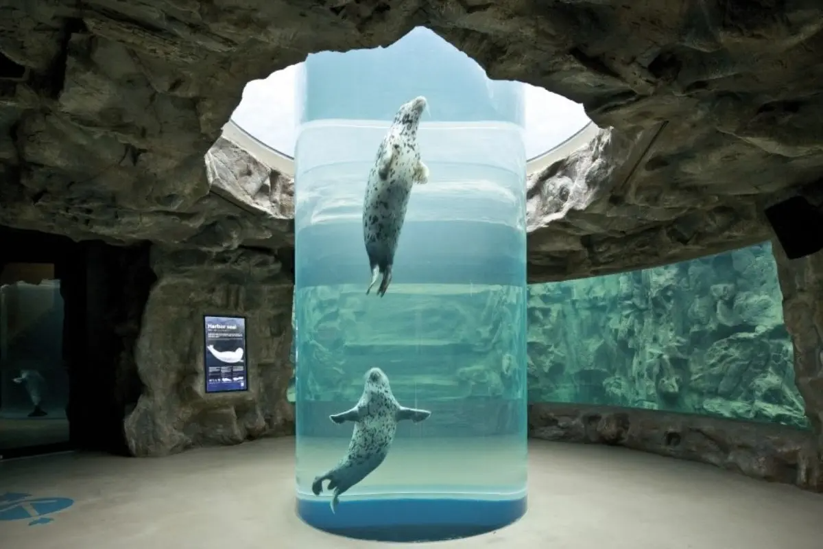 麗水海洋世界水族館