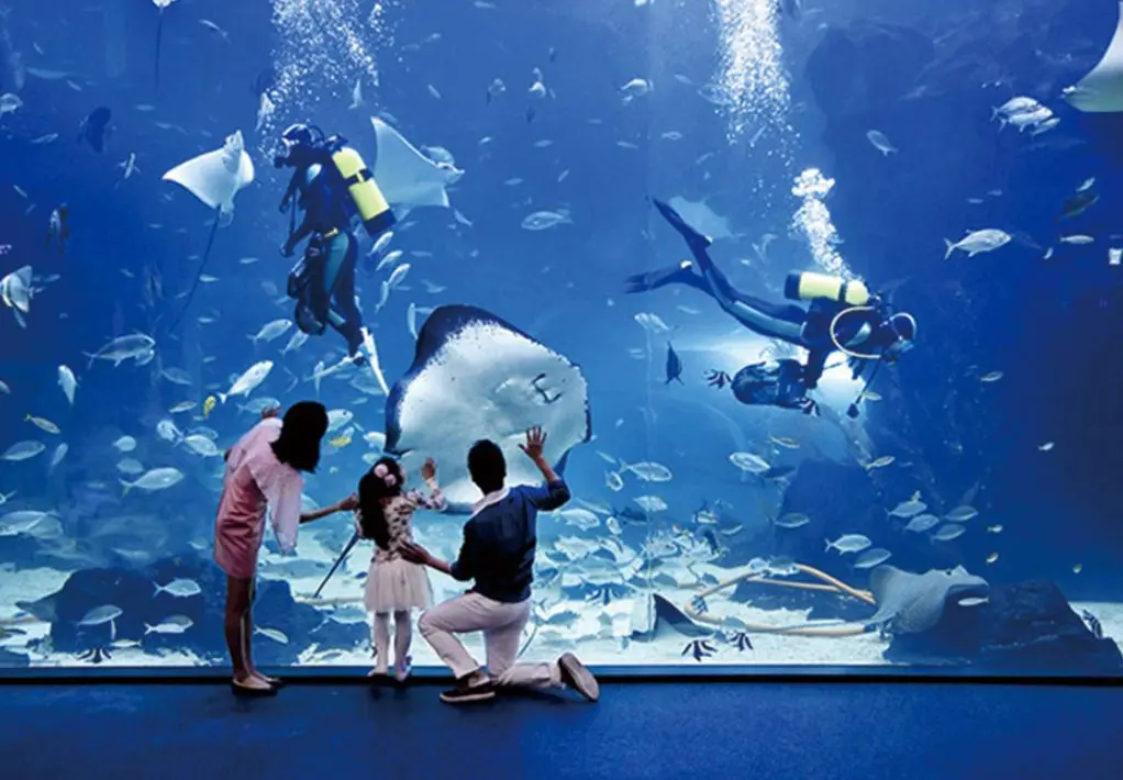 Aquarium near Seoul : Ilsan Aqua Planet