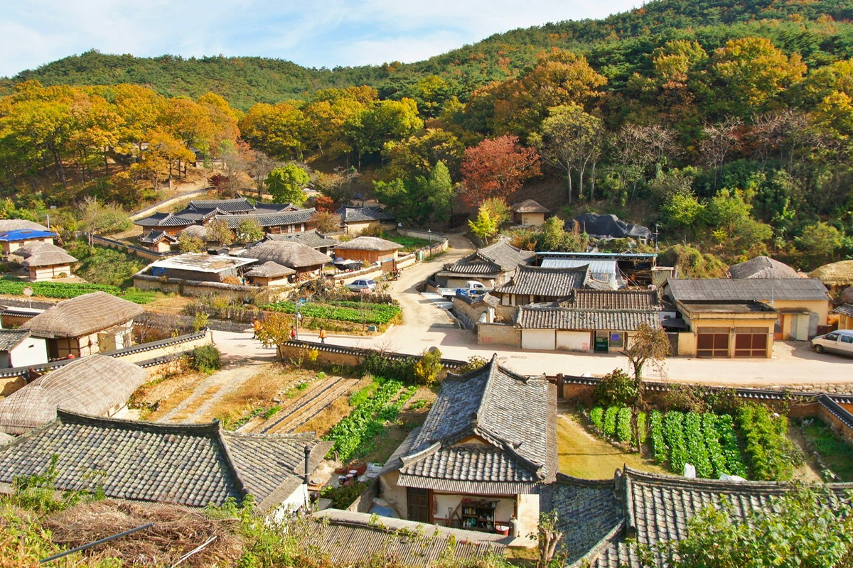 慶州 世界文化遺產 一日團 良洞村