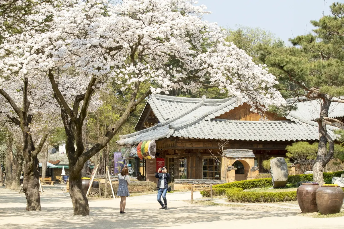 南怡島、小法國村、晨靜樹木園一日遊，一次過去足3個地方，保證大家一定滿意！