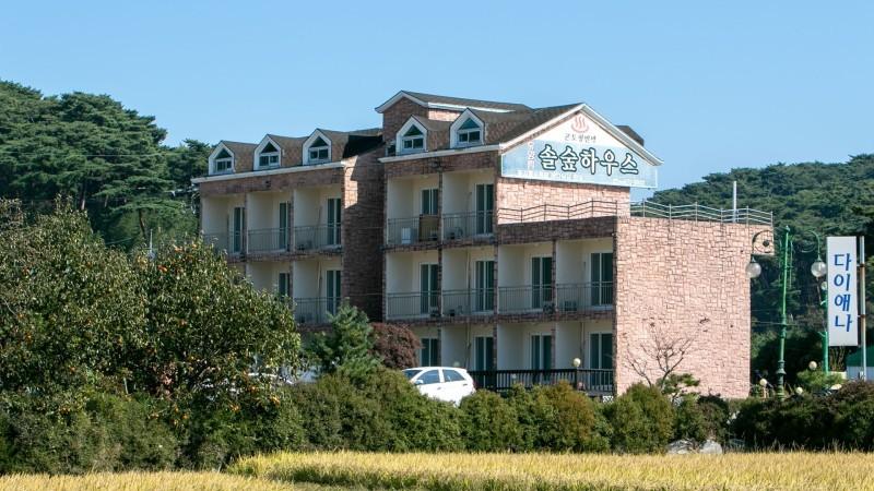 Taean Pine Forest House Pension