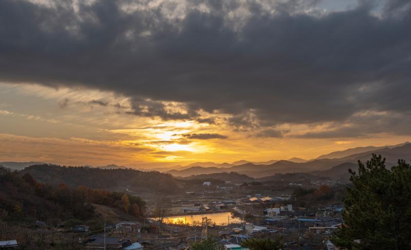 대표 사진
