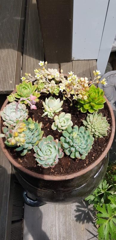 숙소 시설