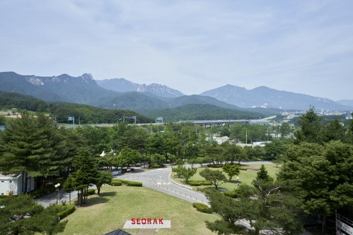 대표 사진