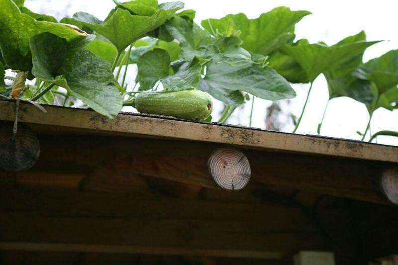 Yangpyeong Ggaruru Pension-26