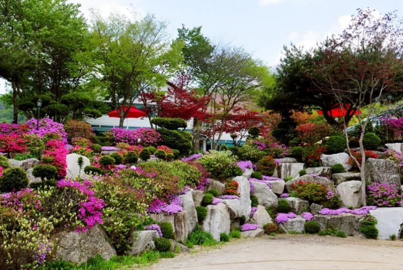 Gapyeong Flower Muji Pension (near the valley)-72