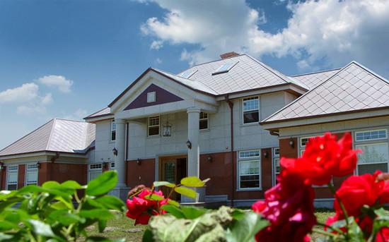 CS Village Pension