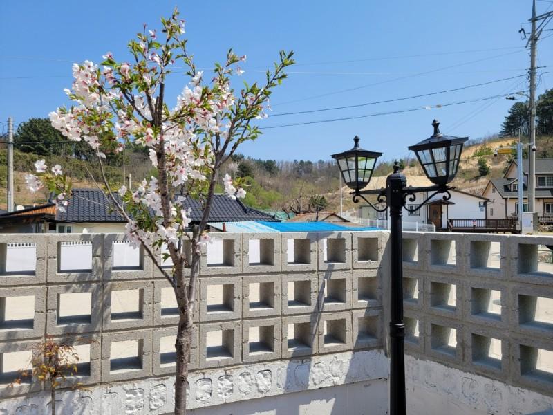 숙소 시설