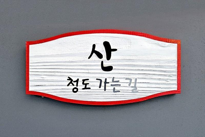 대표 사진