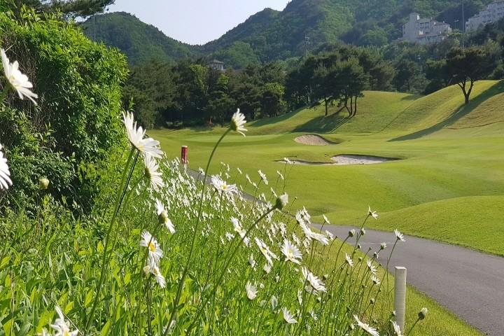 대표 사진