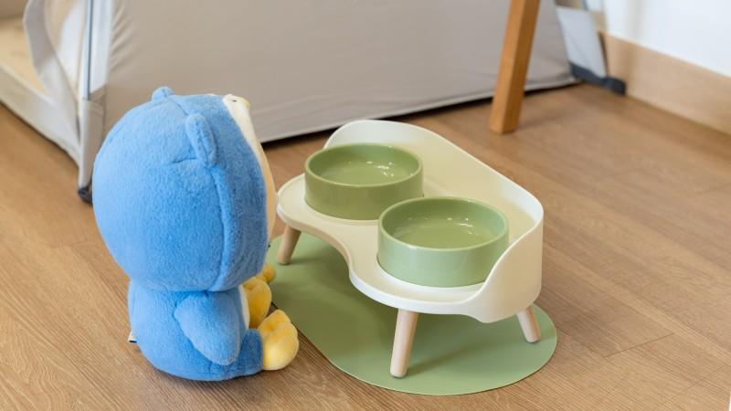 대표 사진