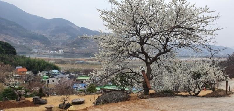 숙소 시설