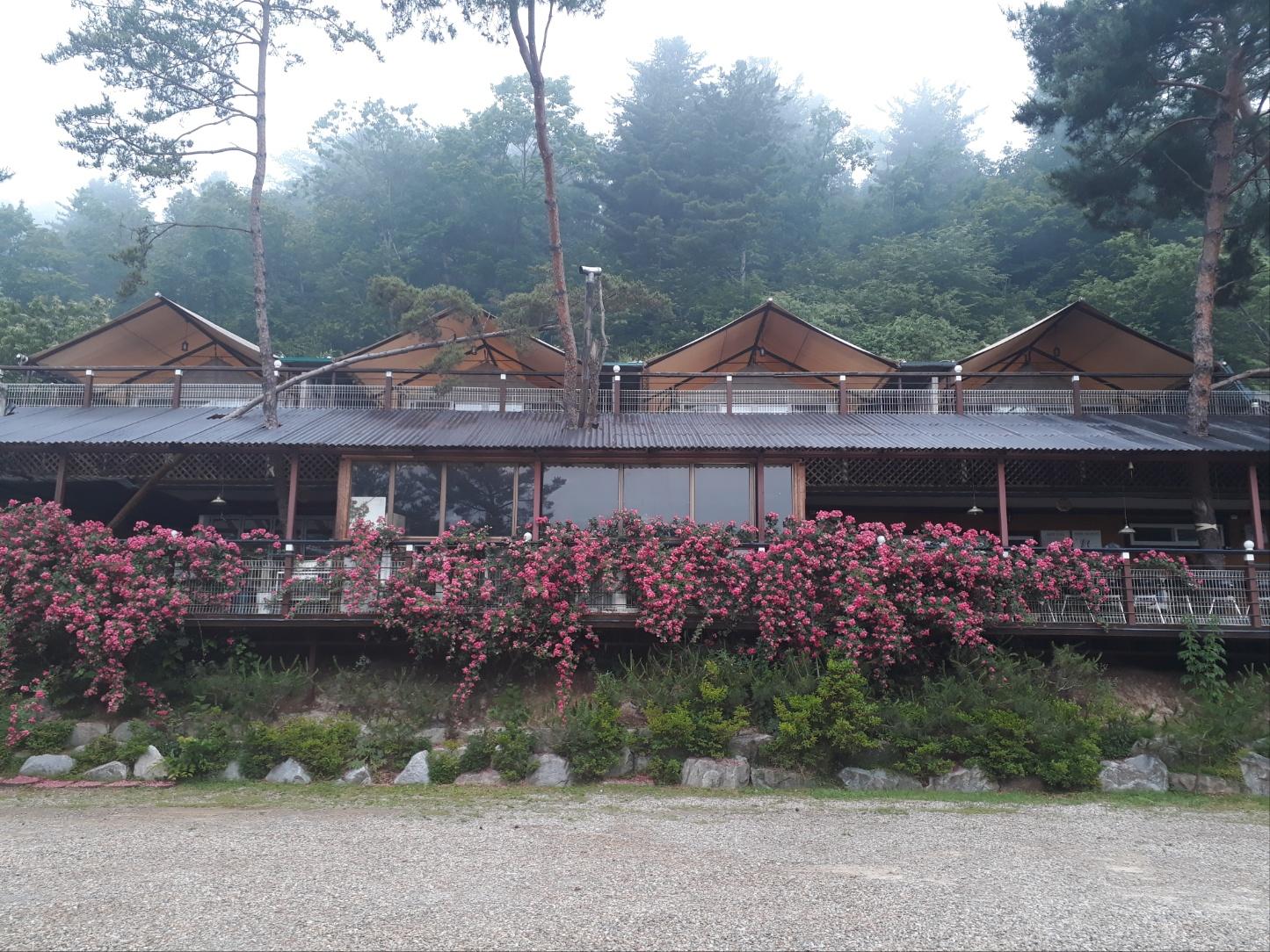Yangpyeong Saneum Camping Pension