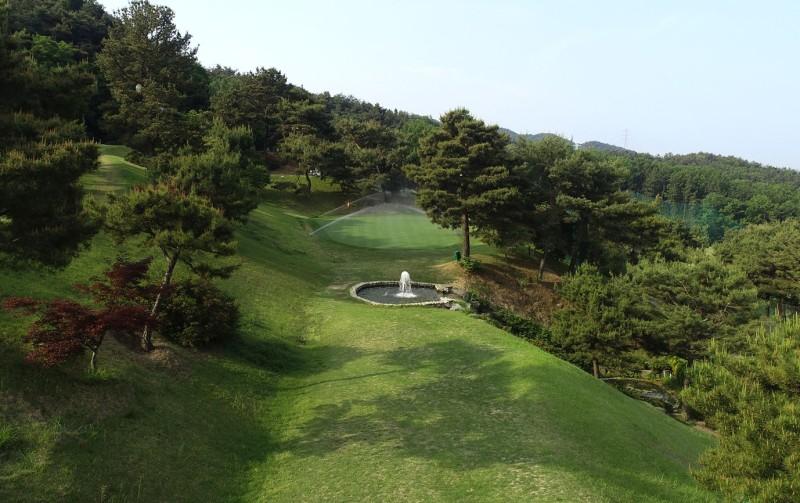 대표 사진