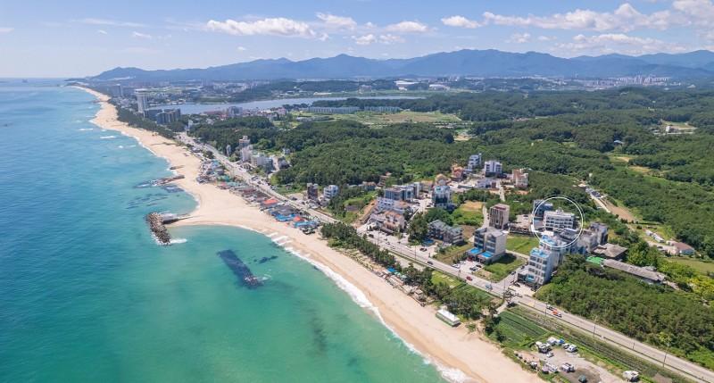 대표 사진