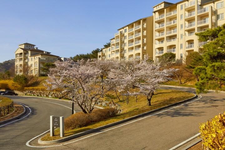 대표 사진